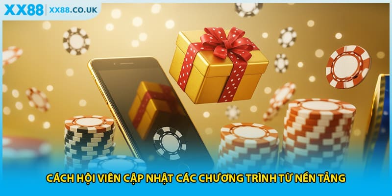 Cách hội viên cập nhật các chương trình từ nền tảng