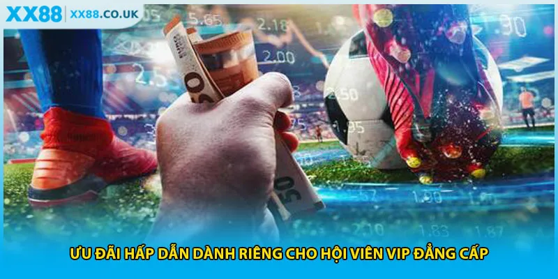 Ưu đãi hấp dẫn dành riêng cho hội viên VIP đẳng cấp